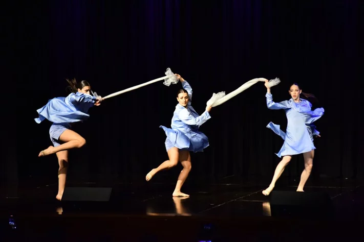 Liberation Dance Show by Zirka